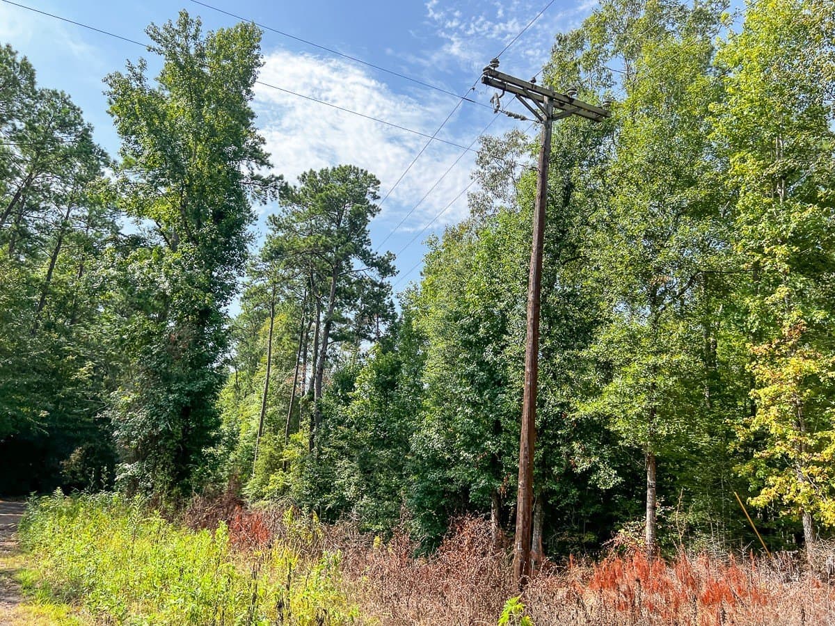 189 acres in Tyler County - photo 26