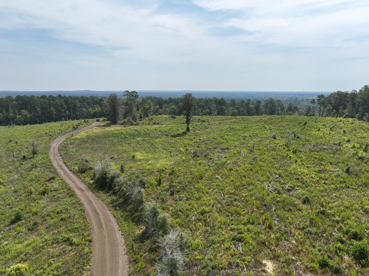 189 acres in Tyler County - photo 11