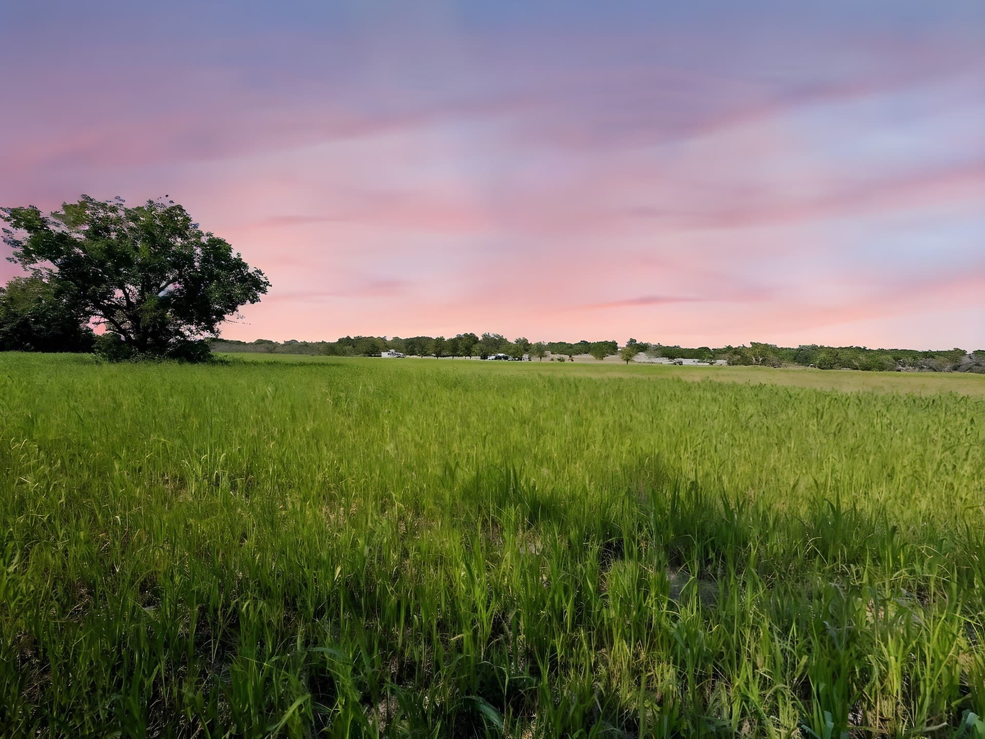 184 acres in Hamilton County gallery image 2
