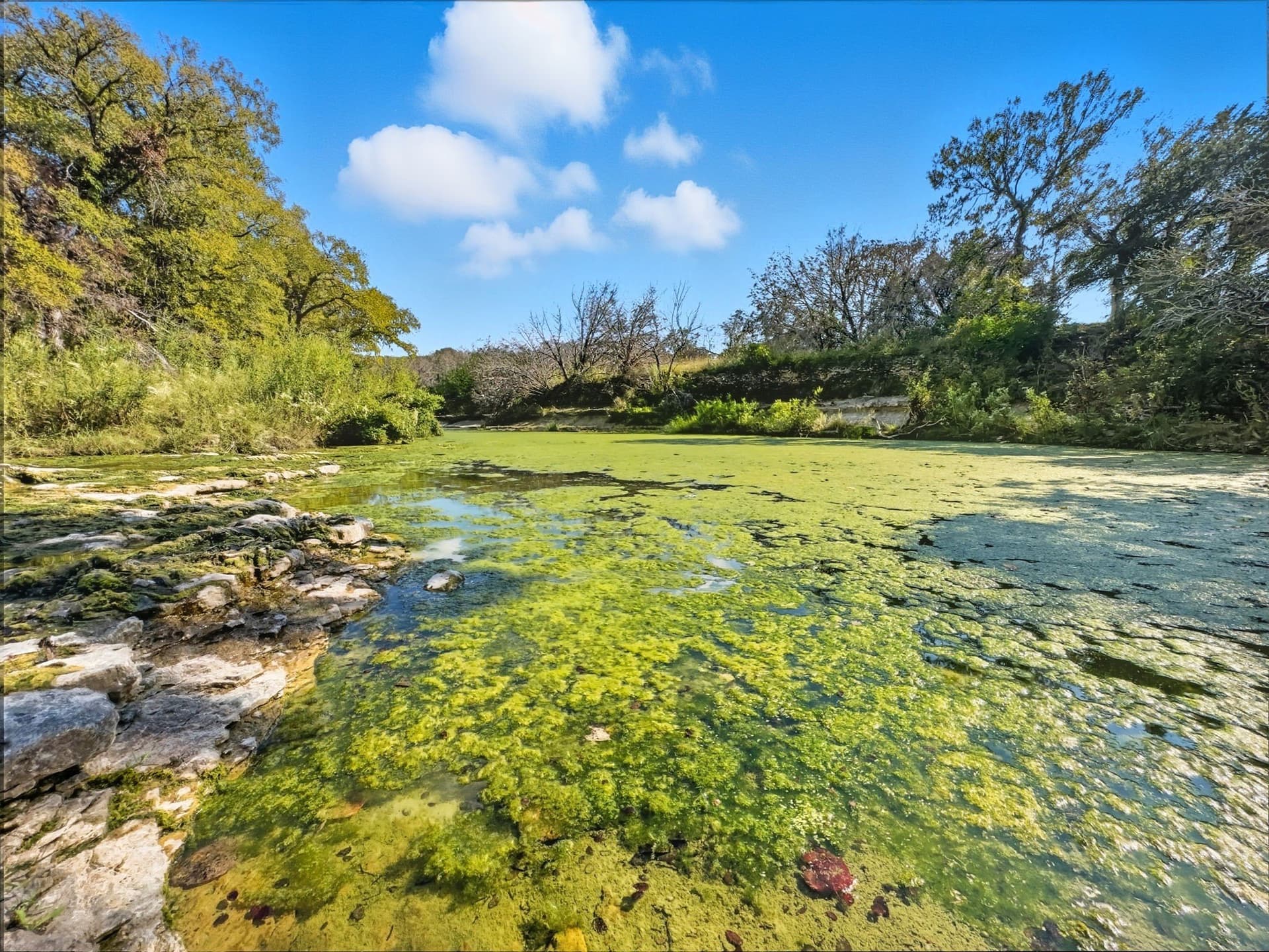 184 acres in Hamilton County gallery image 4