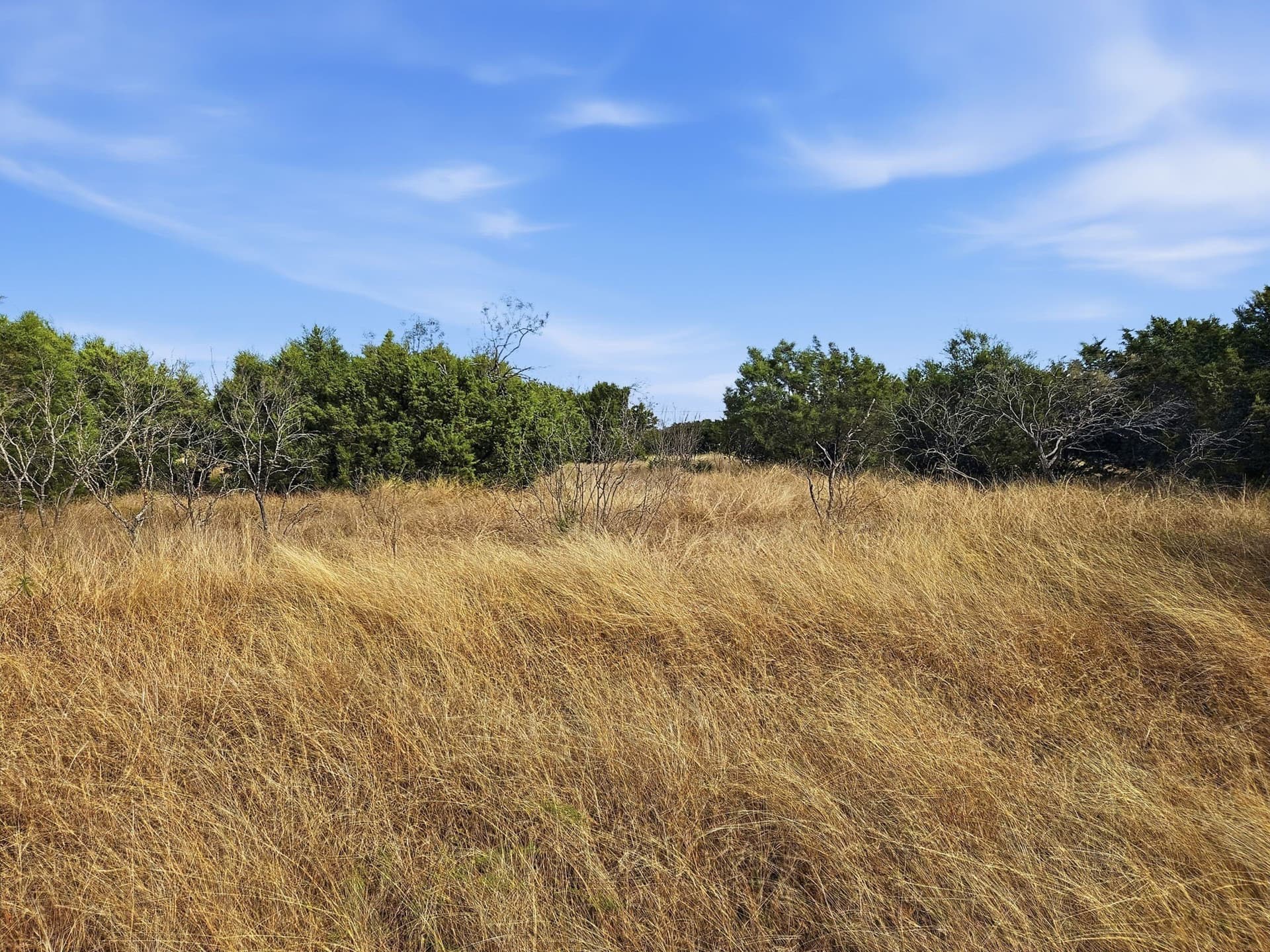 20.02 acres in Hamilton County - photo 16
