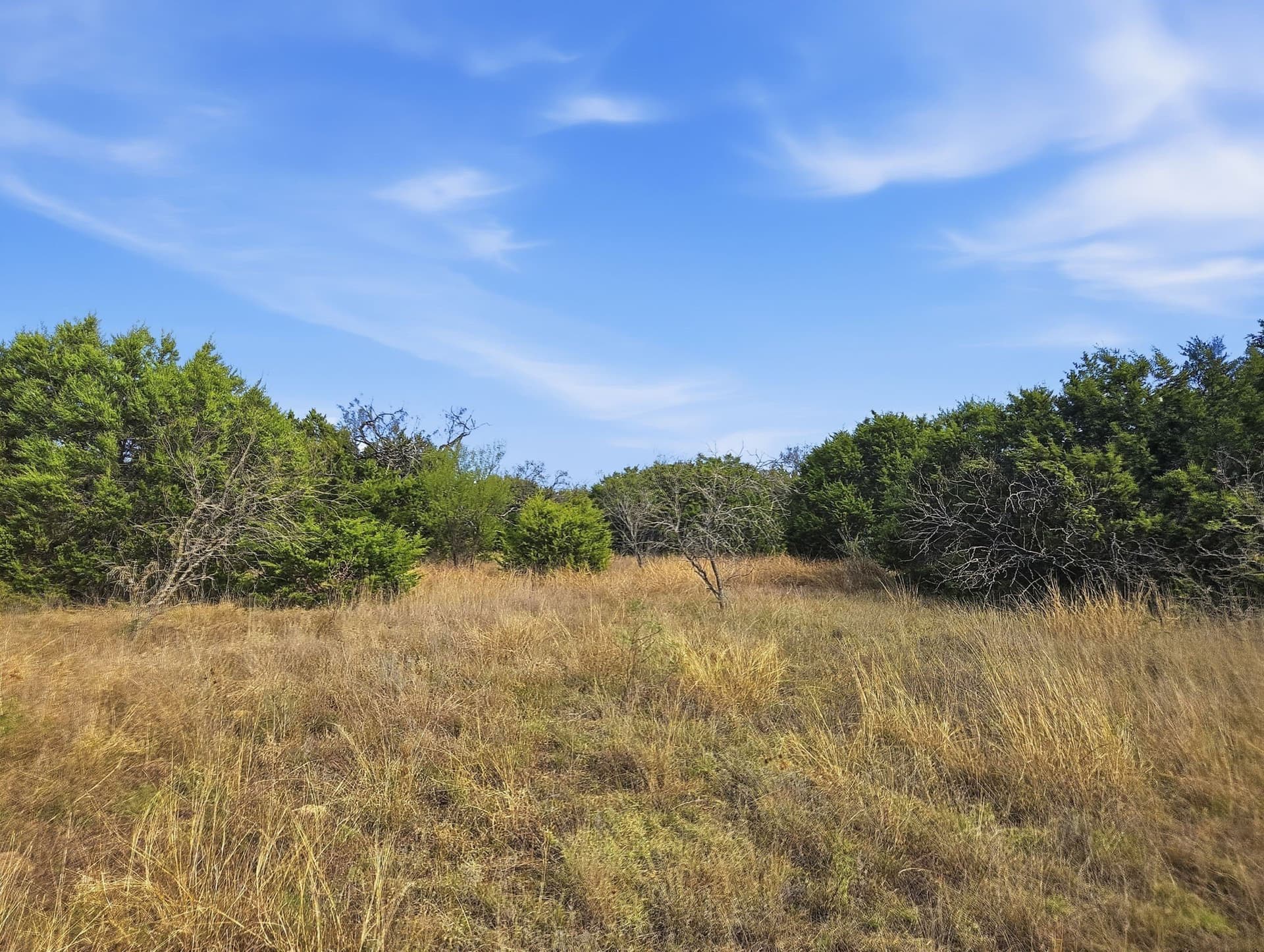 20.02 acres in Hamilton County - photo 15