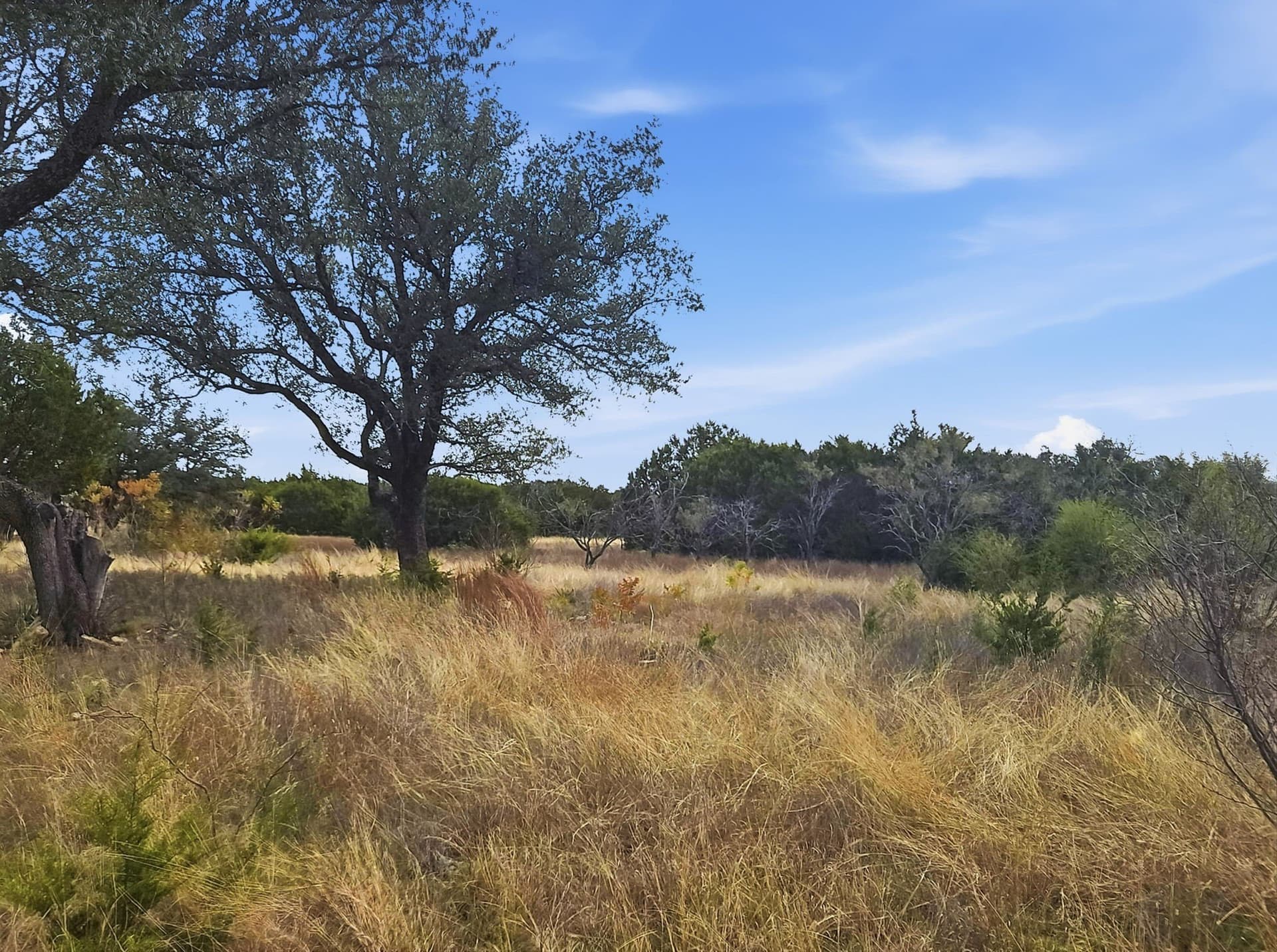 20.02 acres in Hamilton County - photo 27