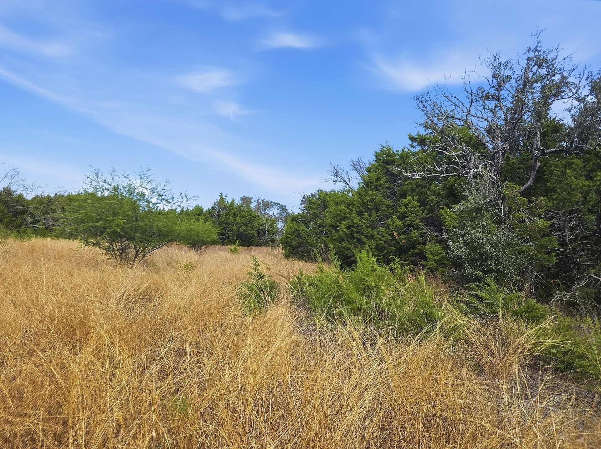 20.02 acres in Hamilton County - photo 22