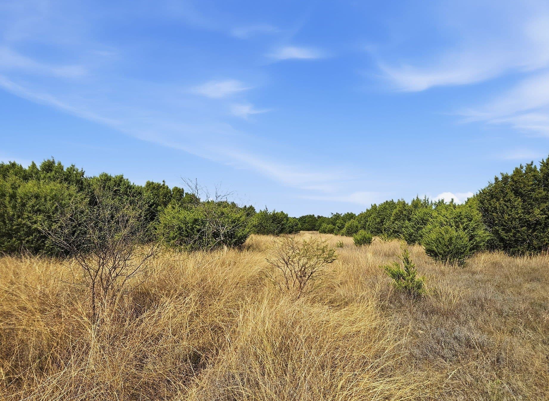 20.02 acres in Hamilton County - photo 11