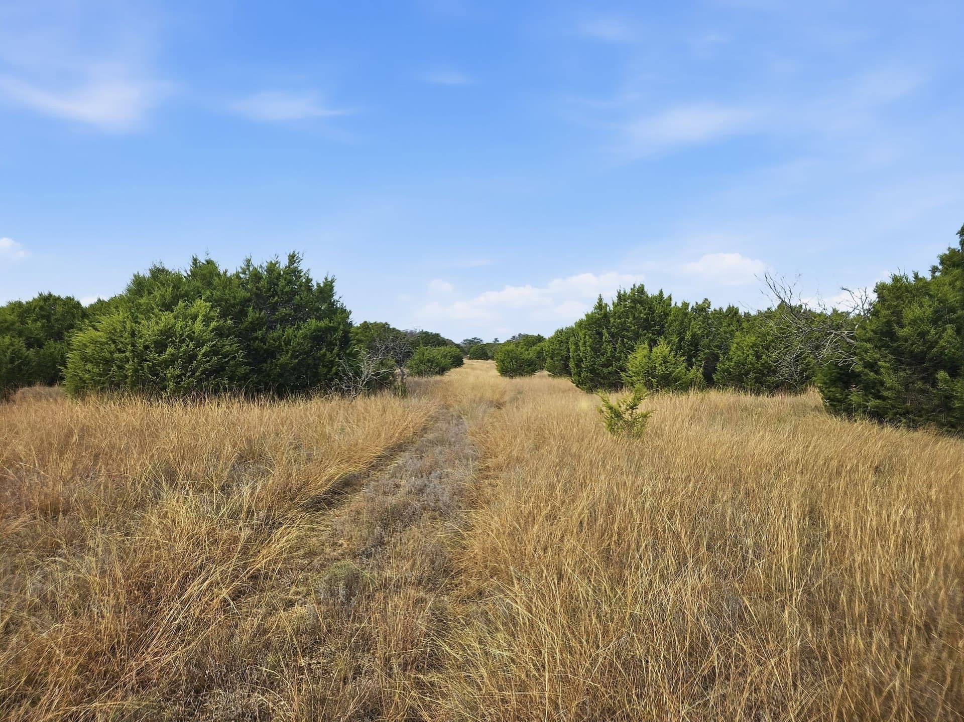 20.02 acres in Hamilton County - photo 14