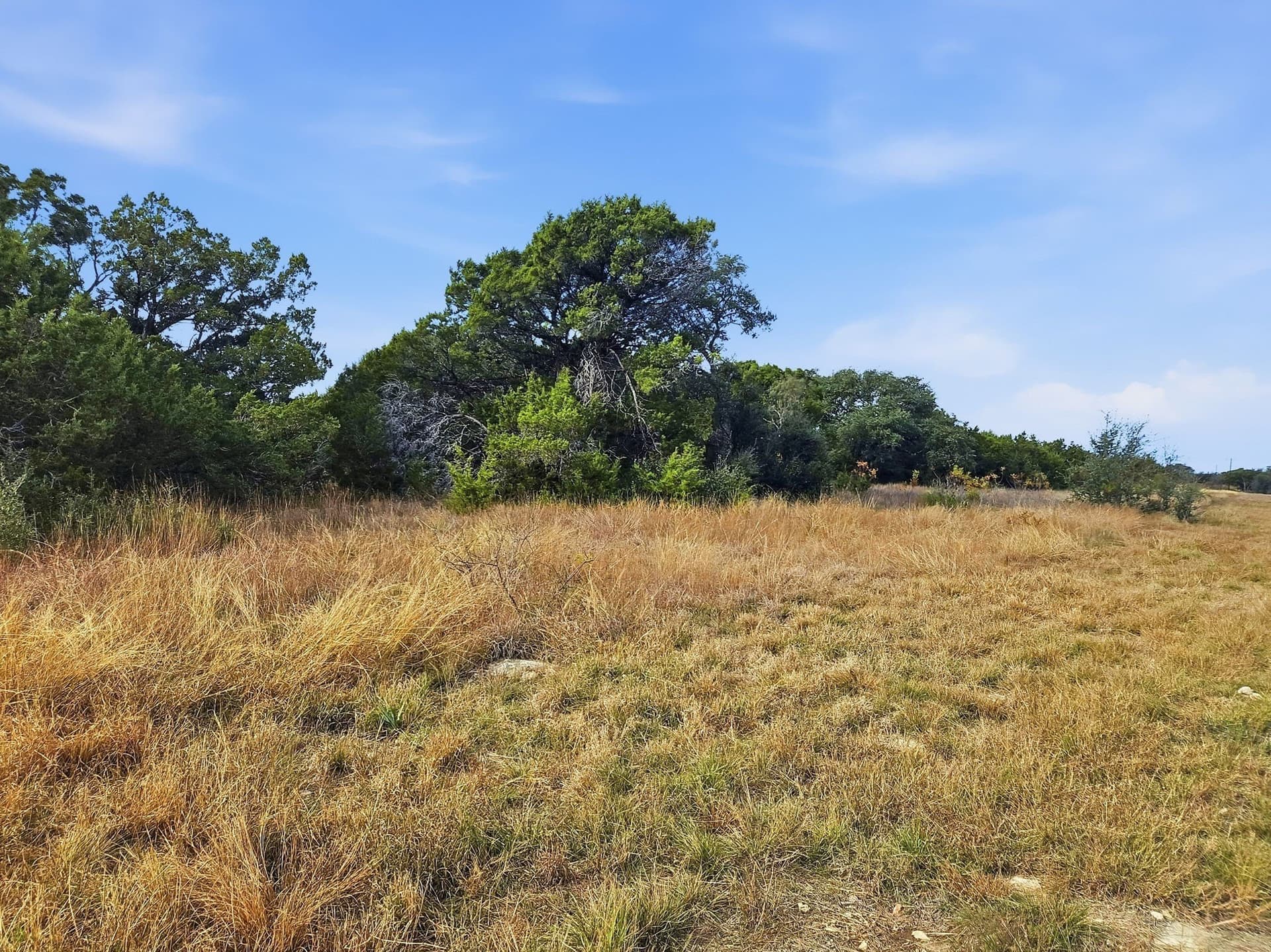20.02 acres in Hamilton County - photo 24