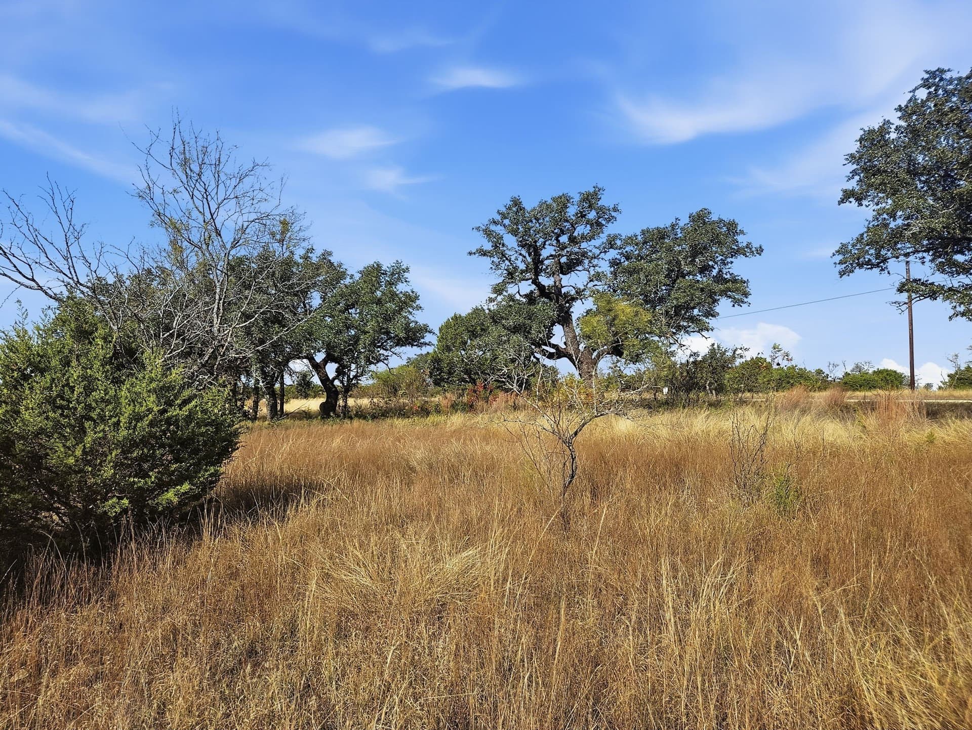 20.02 acres in Hamilton County - photo 8