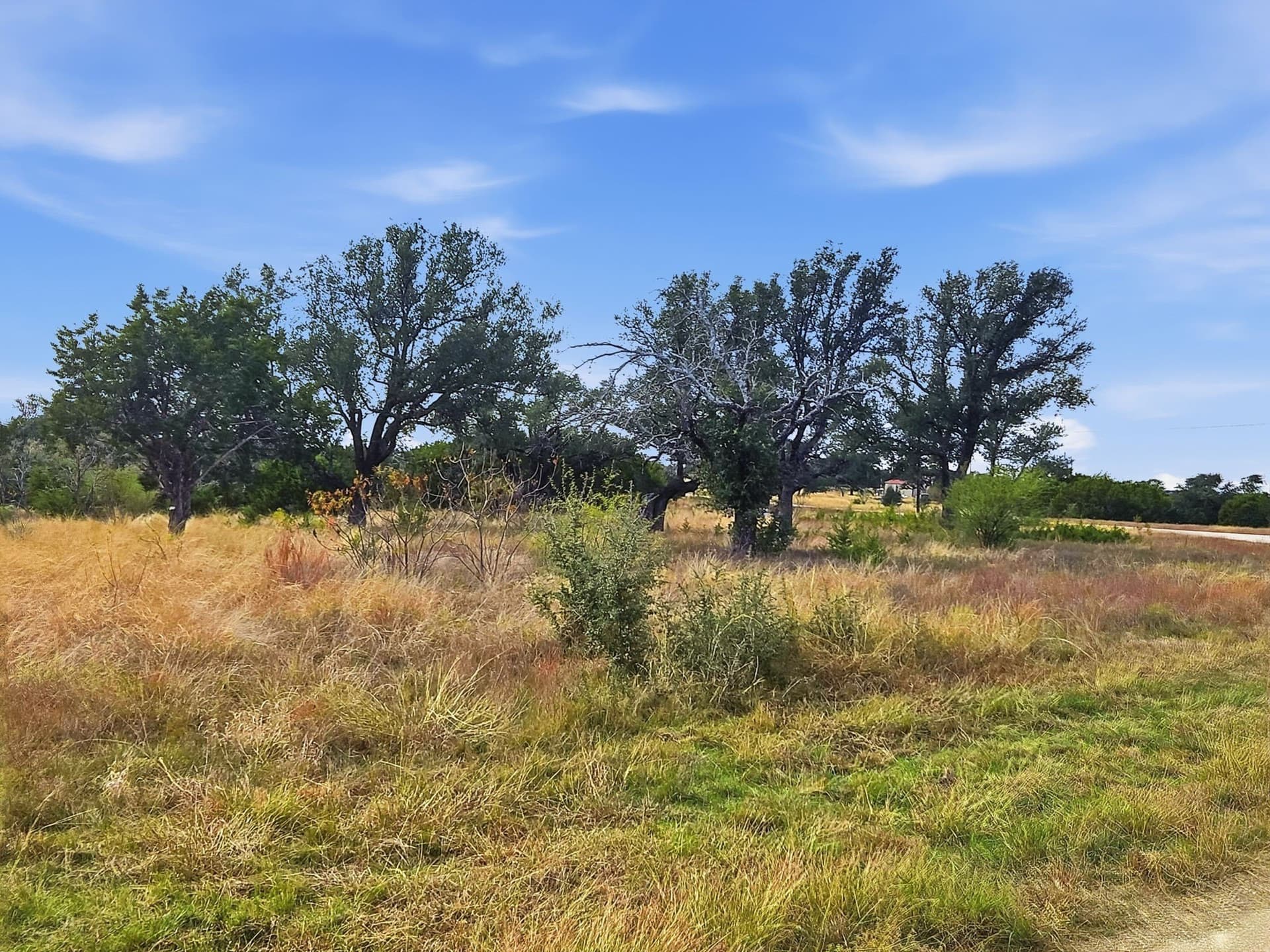 20.02 acres in Hamilton County - photo 2