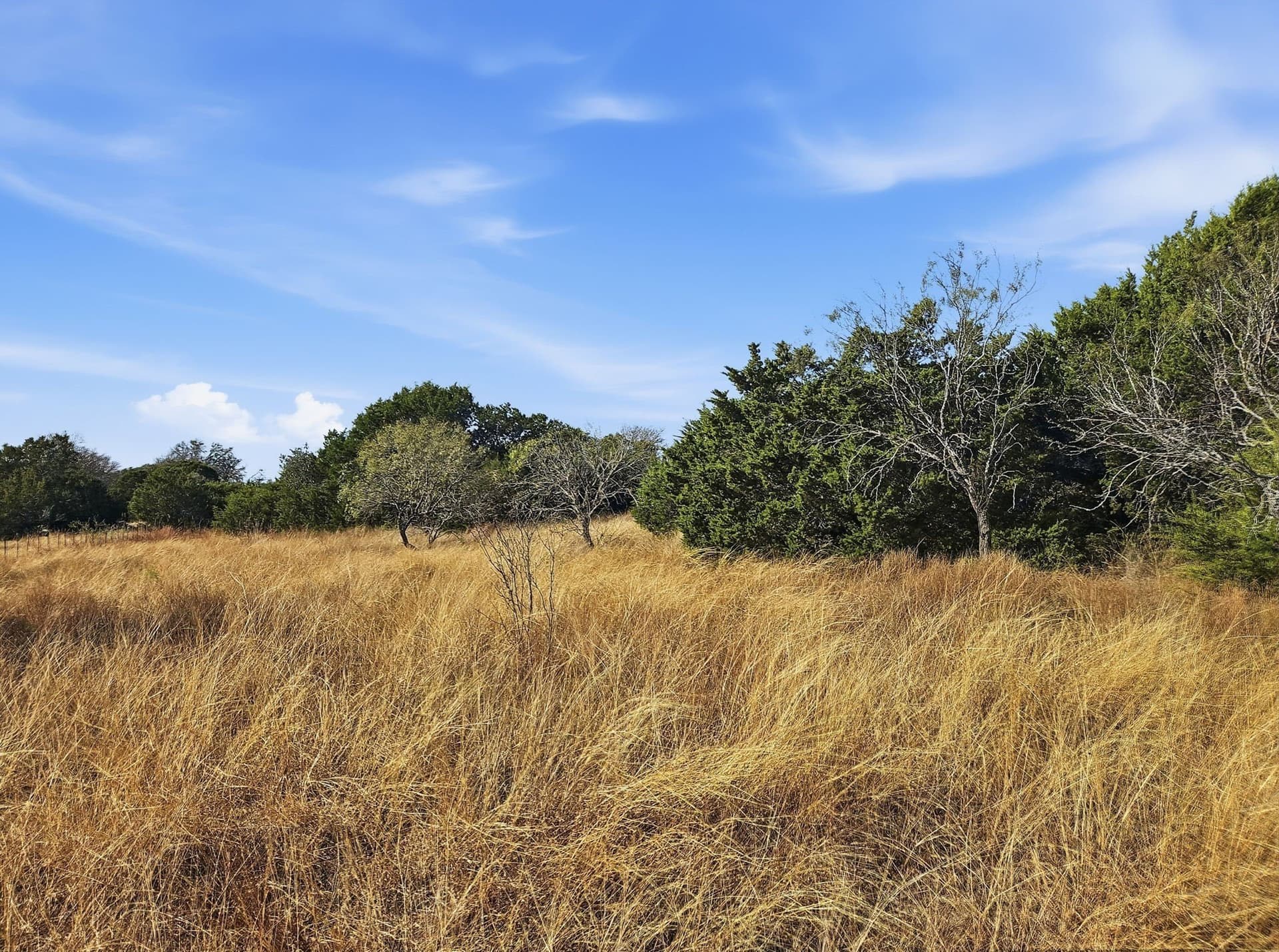 20.02 acres in Hamilton County - photo 7
