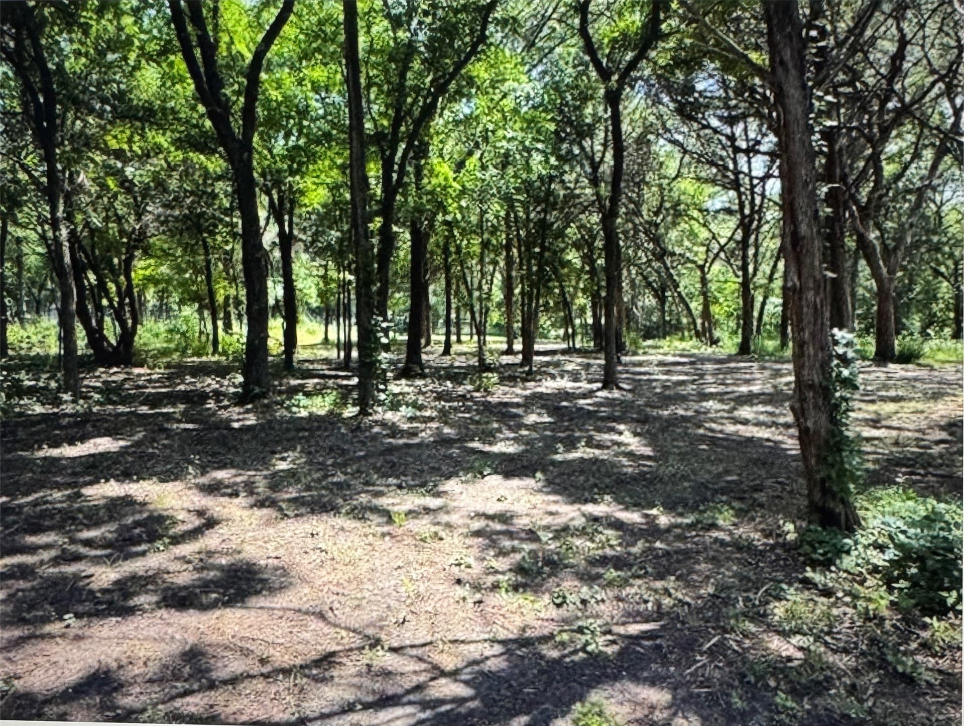 1.6 acres in Dallas County - photo 2