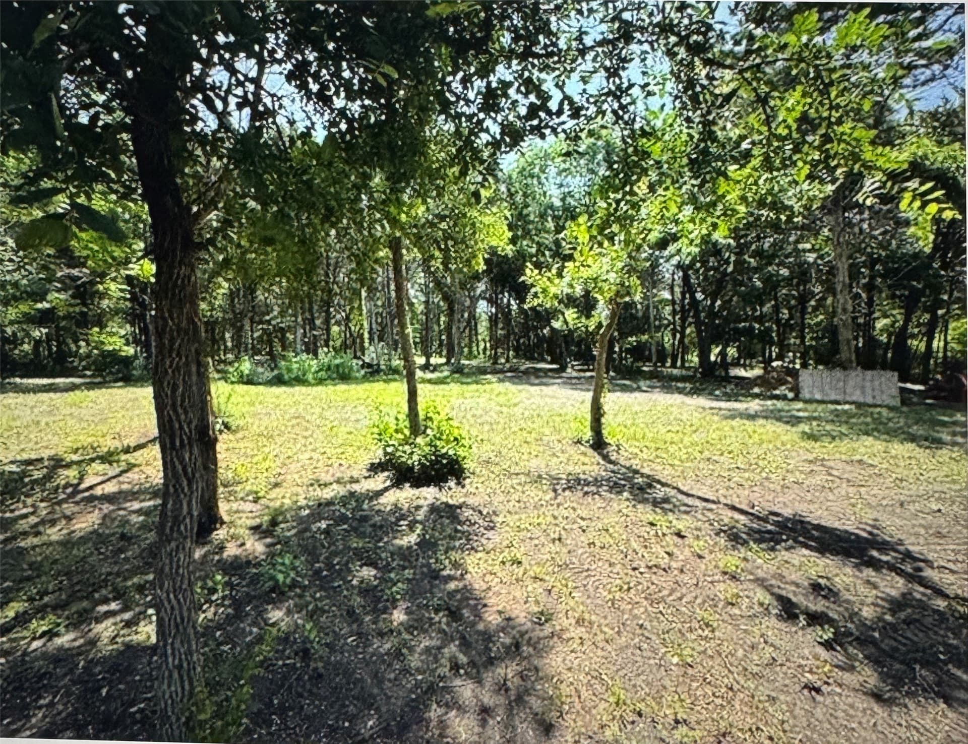 1.6 acres in Dallas County - photo 3