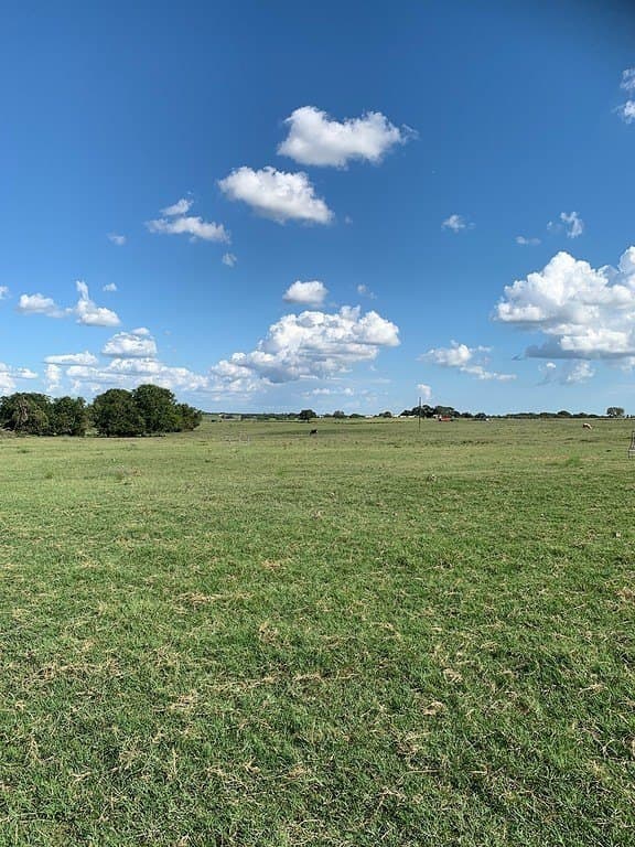 63.55 acres in Lavaca County gallery image 2