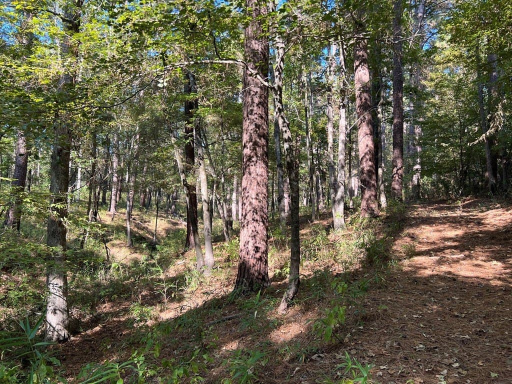 8.95 acres in Texas County - photo 10