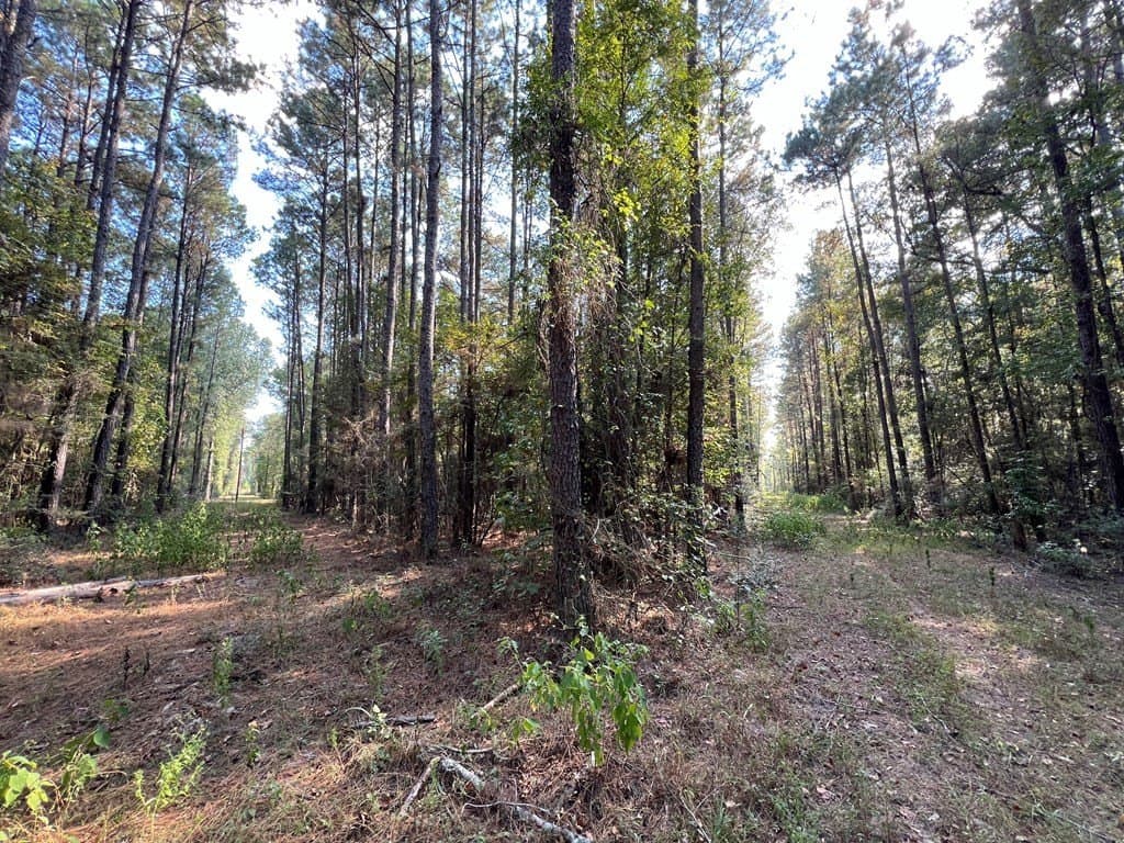 8.95 acres in Texas County - photo 9