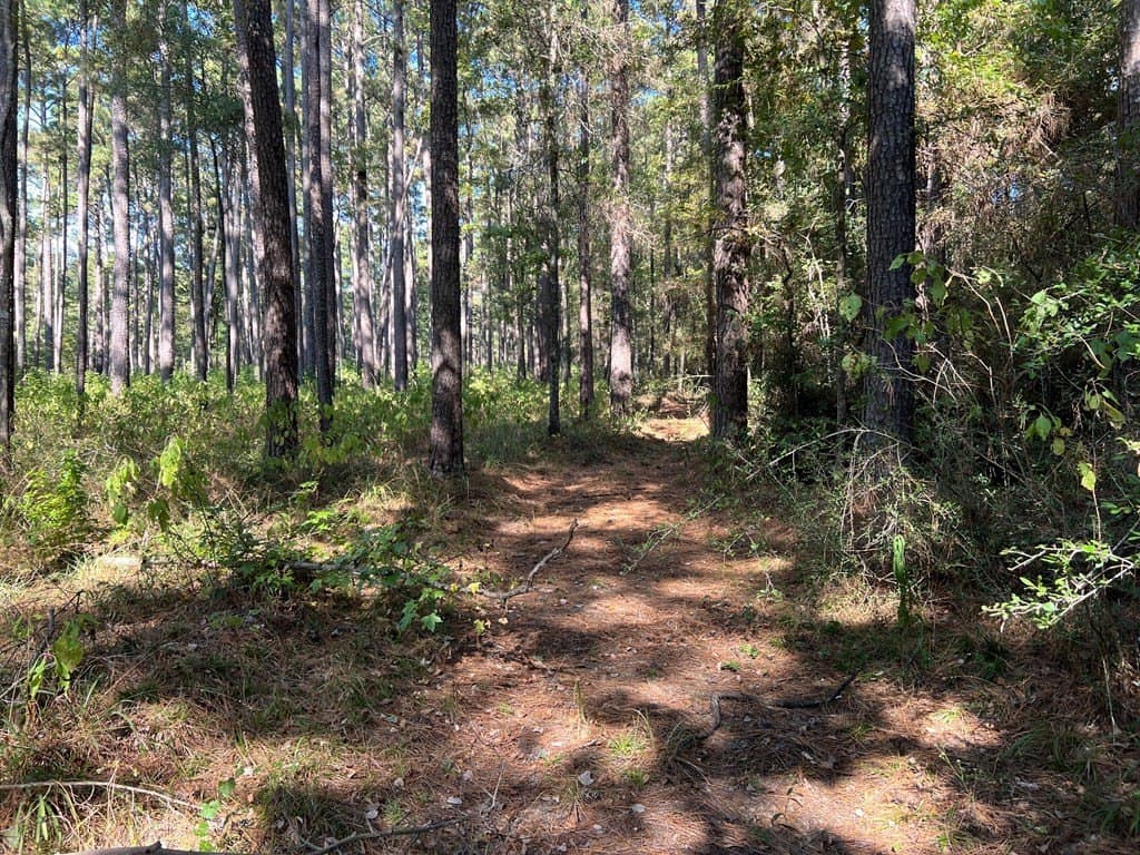 8.95 acres in Texas County - photo 8