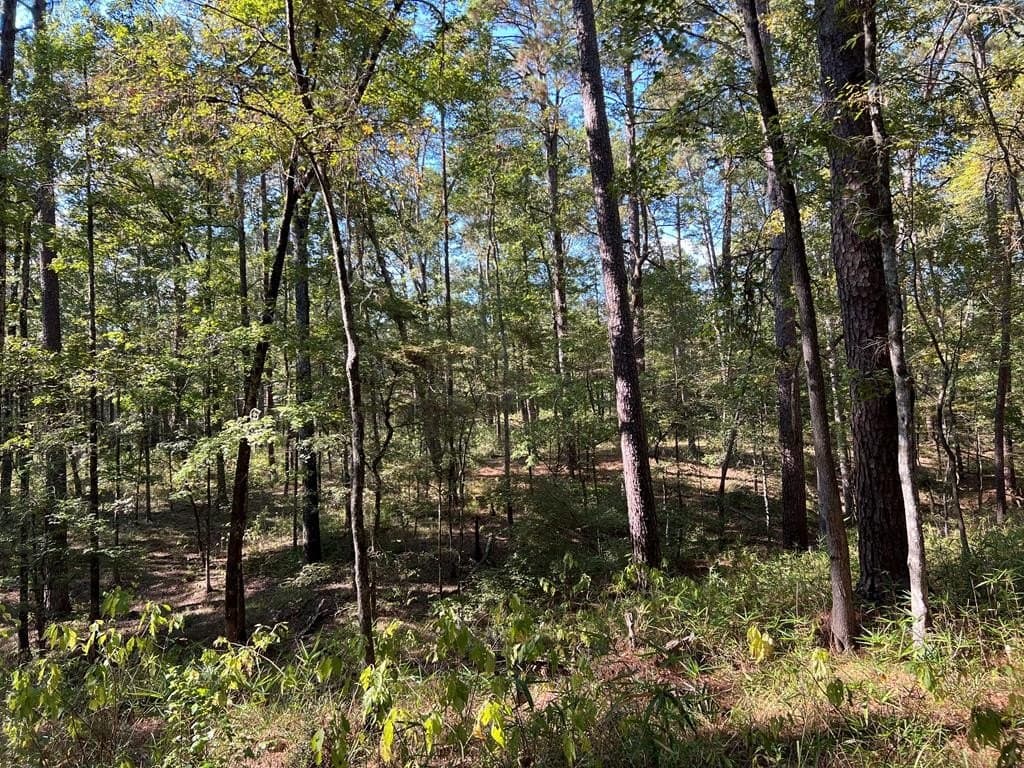 8.95 acres in Texas County