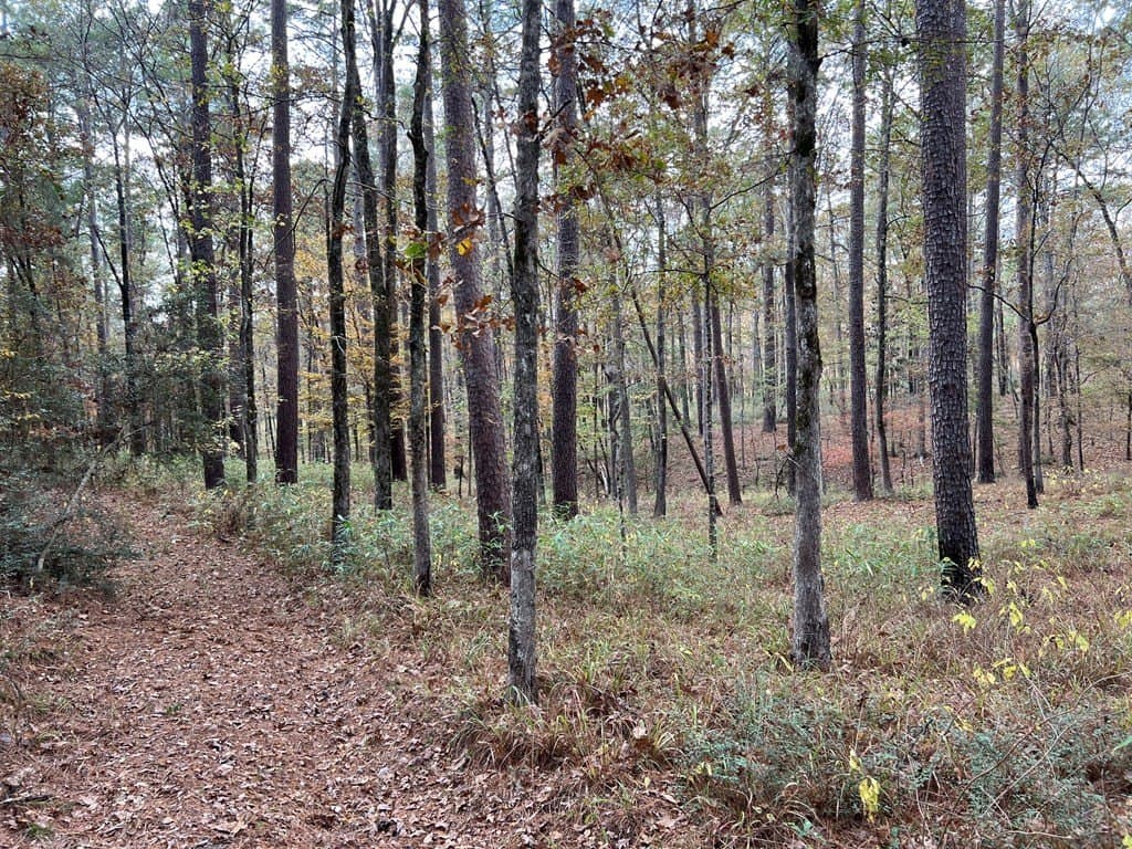 8.95 acres in Texas County - photo 15