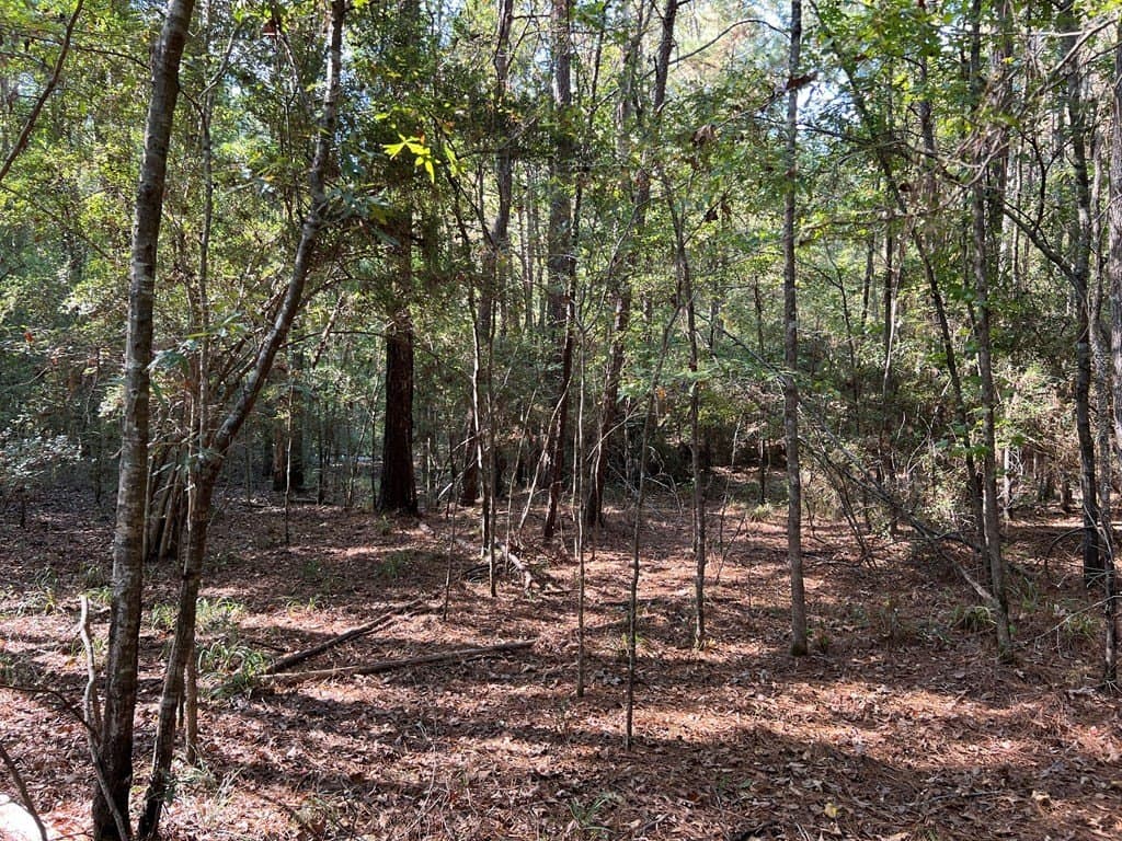 8.95 acres in Texas County - photo 6