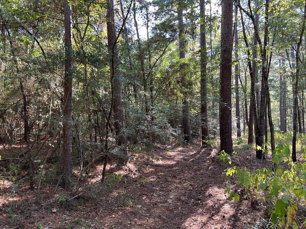 8.95 acres in Texas County featured view