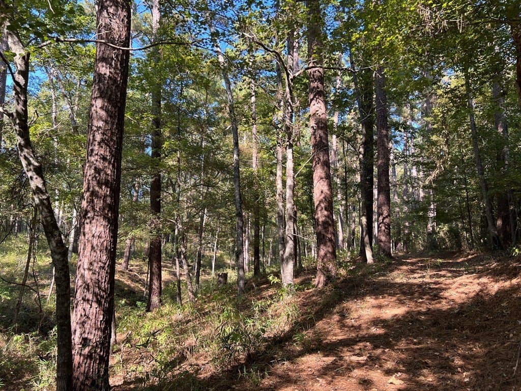 8.95 acres in Texas County - photo 16