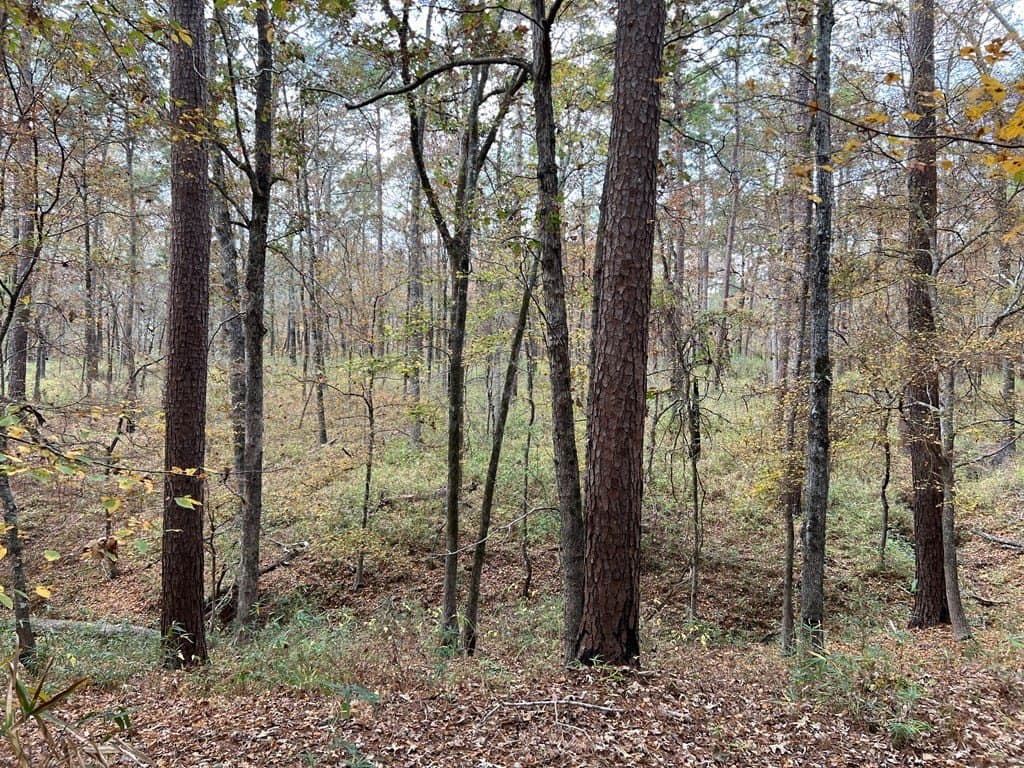8.95 acres in Texas County - photo 17