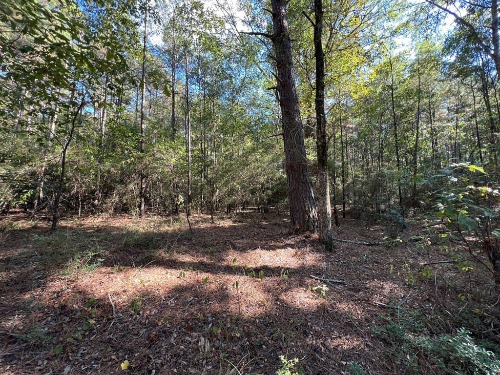 8.95 acres in Texas County - photo 14