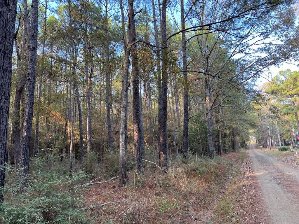 8.95 acres in Texas County - photo 12
