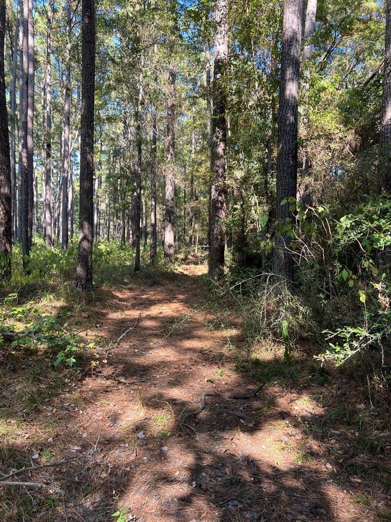 8.95 acres in Texas County gallery image 3