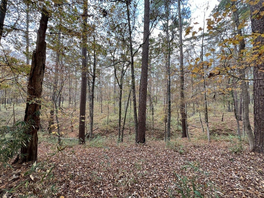 8.95 acres in Texas County gallery image 2