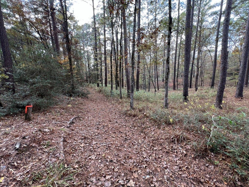 8.95 acres in Texas County - photo 11