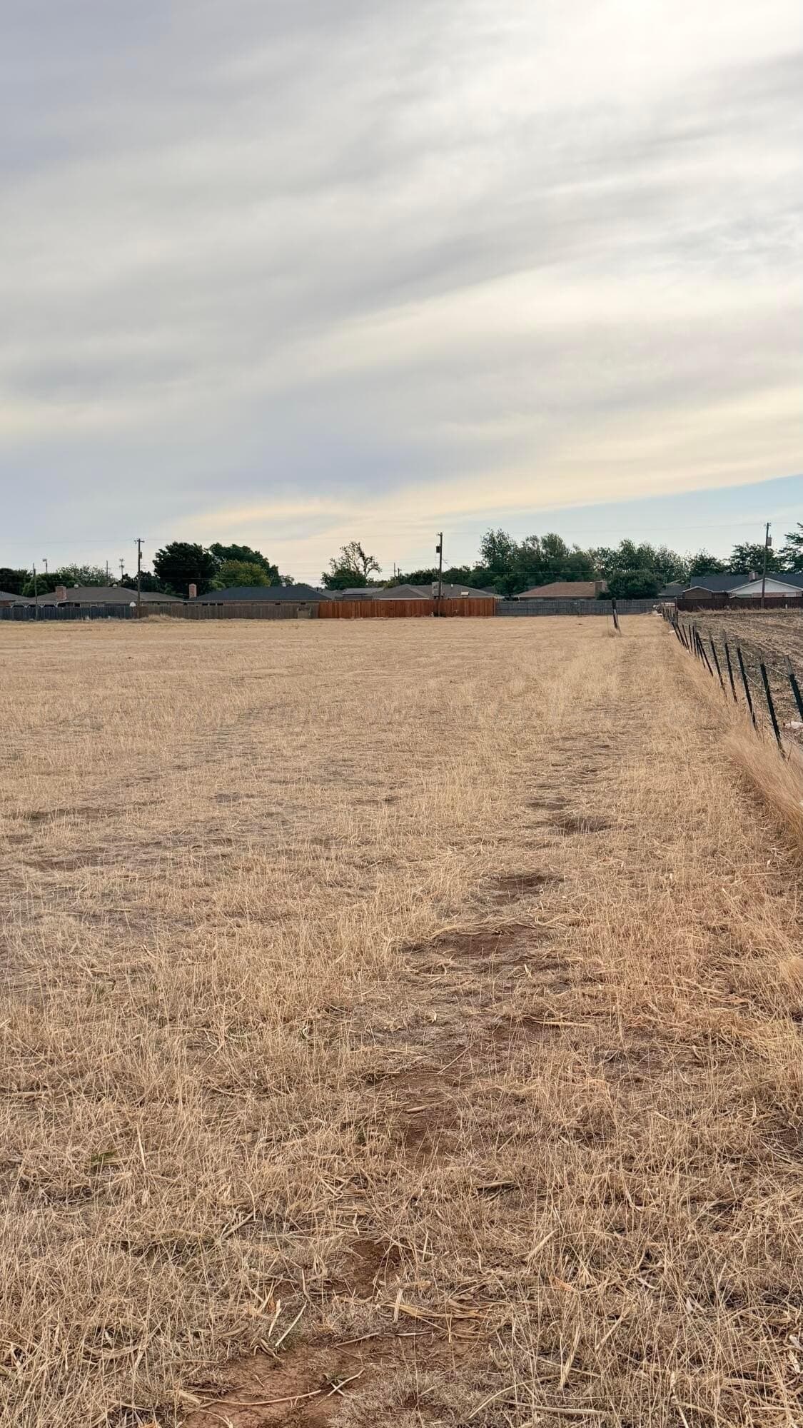 0 acres in Texas County - photo 9