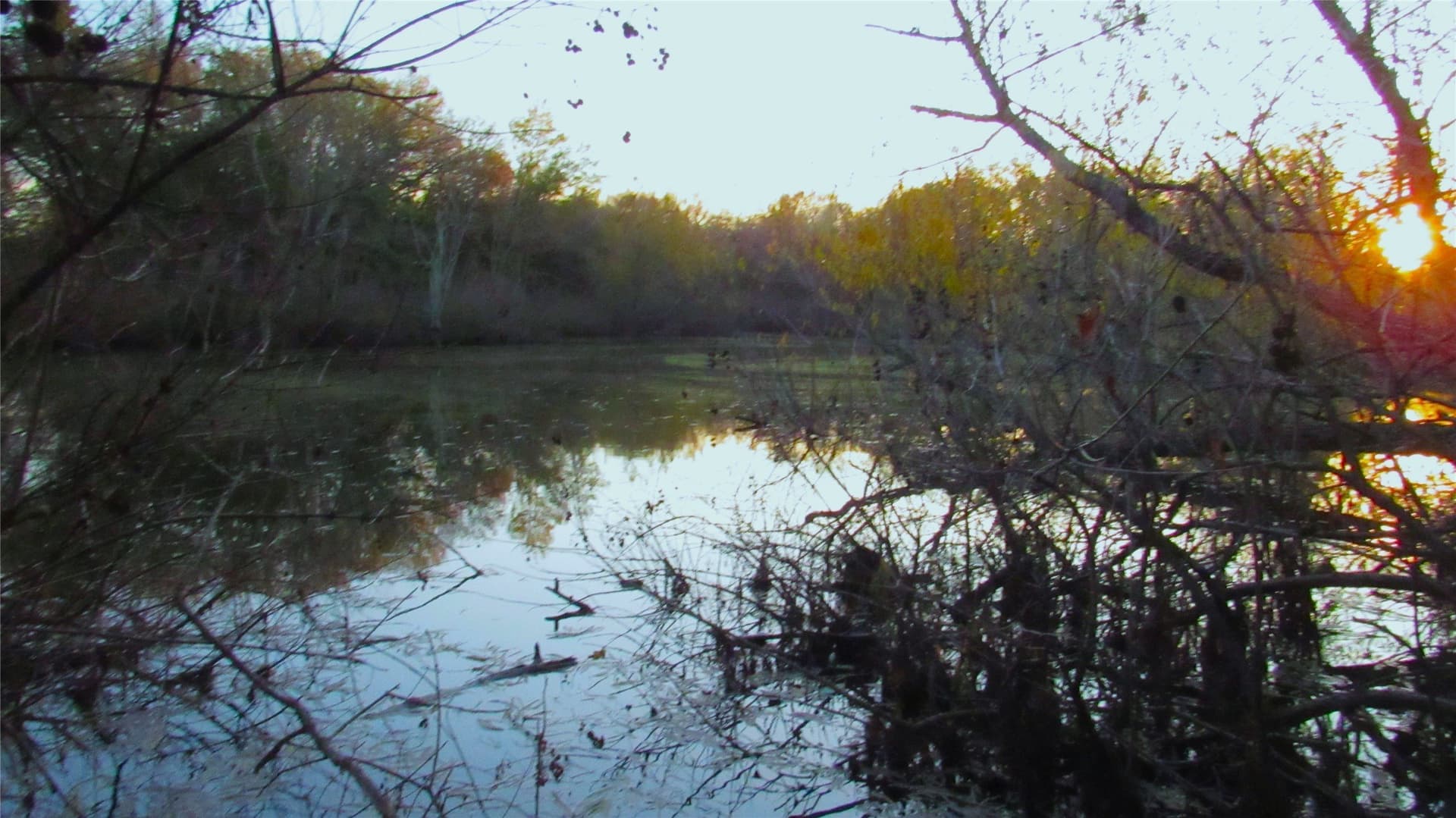 12.15 acres in Hopkins County