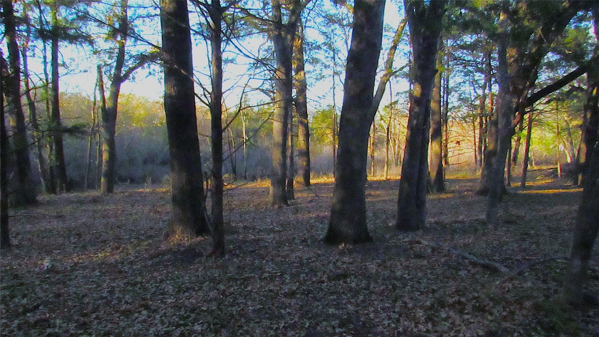 12.15 acres in Hopkins County - photo 8
