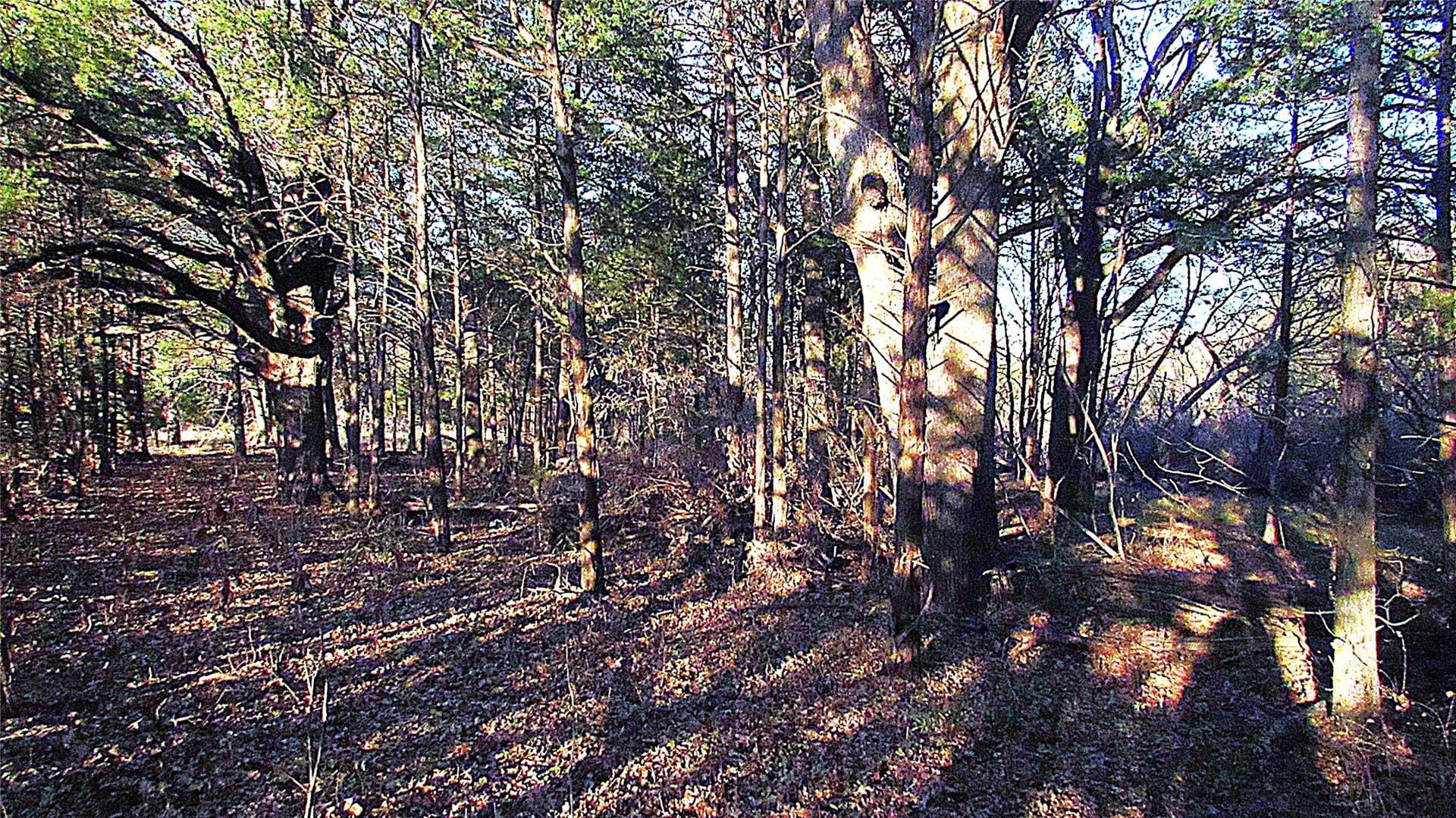 12.15 acres in Hopkins County - photo 7