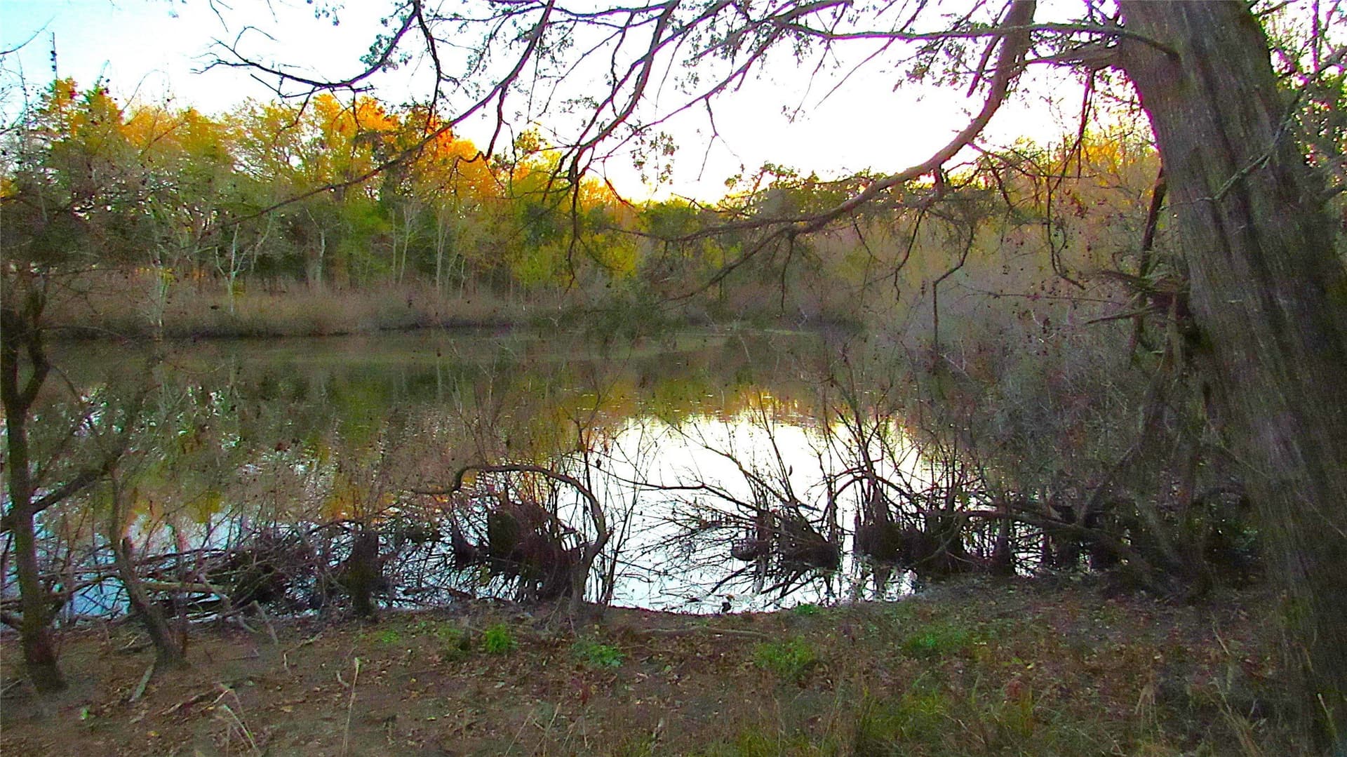 12.15 acres in Hopkins County - photo 6