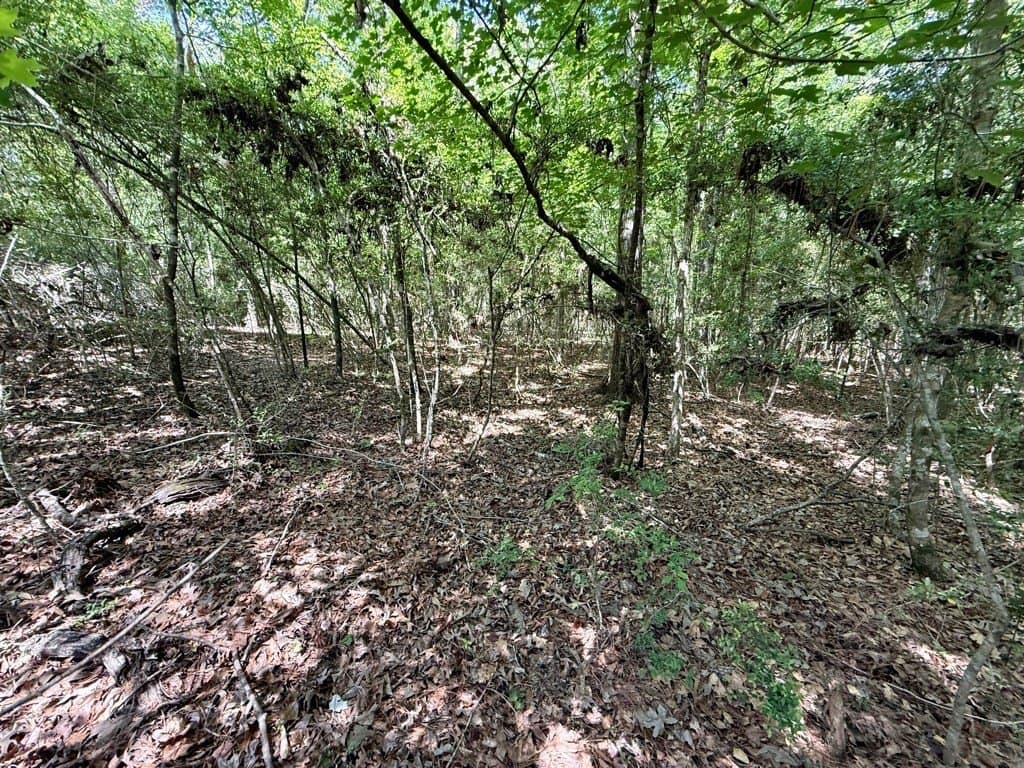 2.57 acres in Texas County featured view