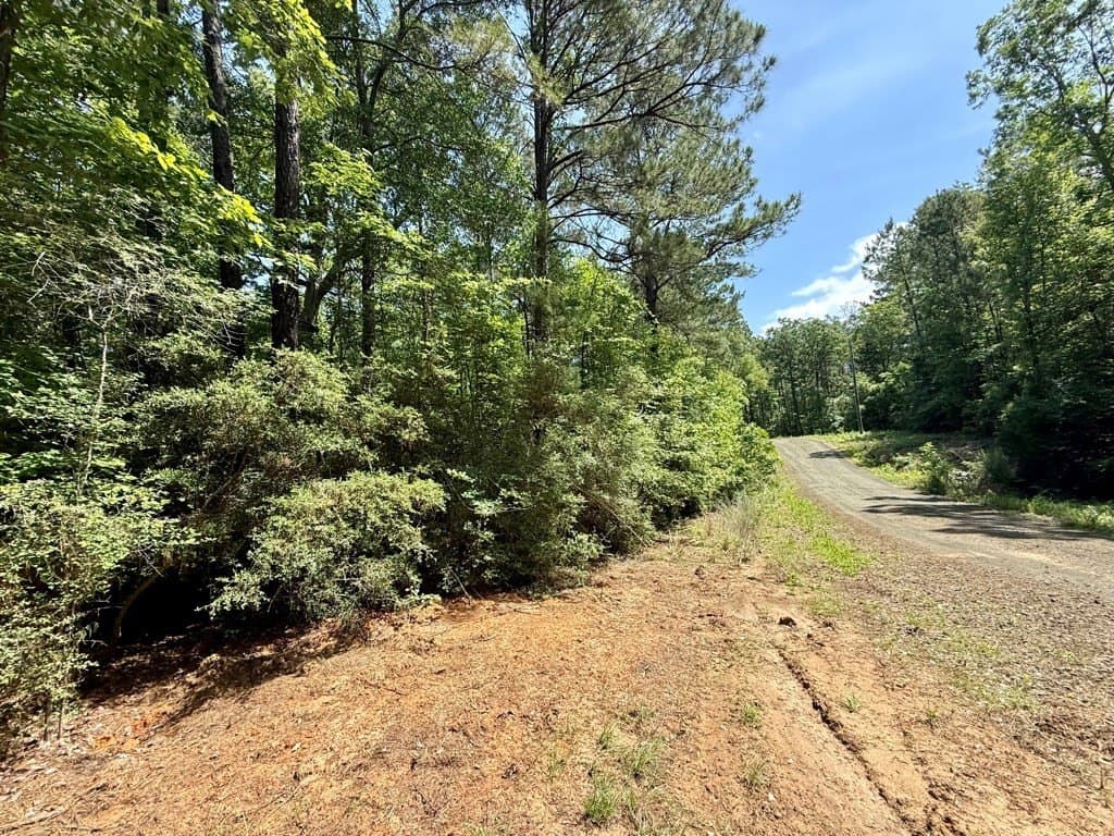 2.57 acres in Texas County gallery image 3