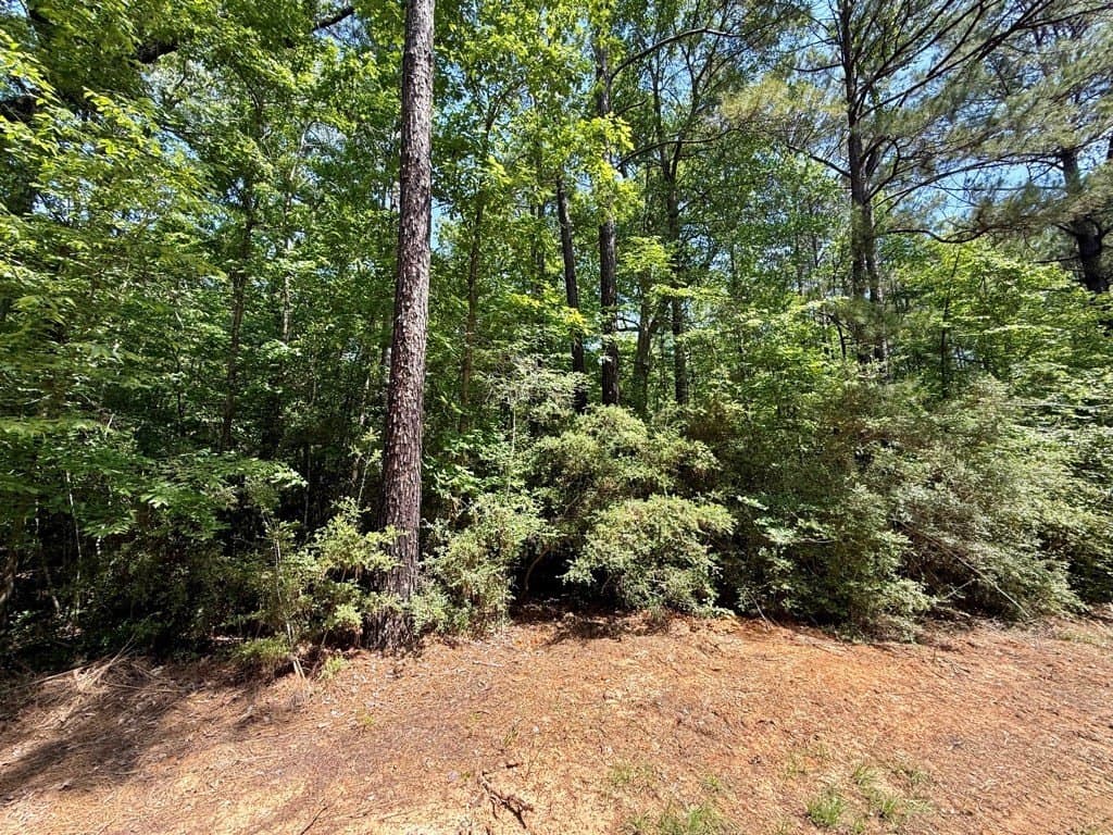 2.57 acres in Texas County gallery image 2