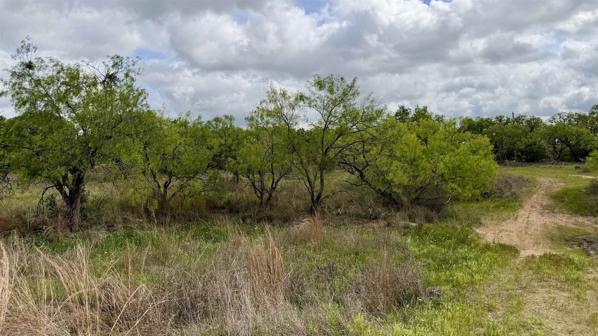 0.28 acres in Llano County - photo 8