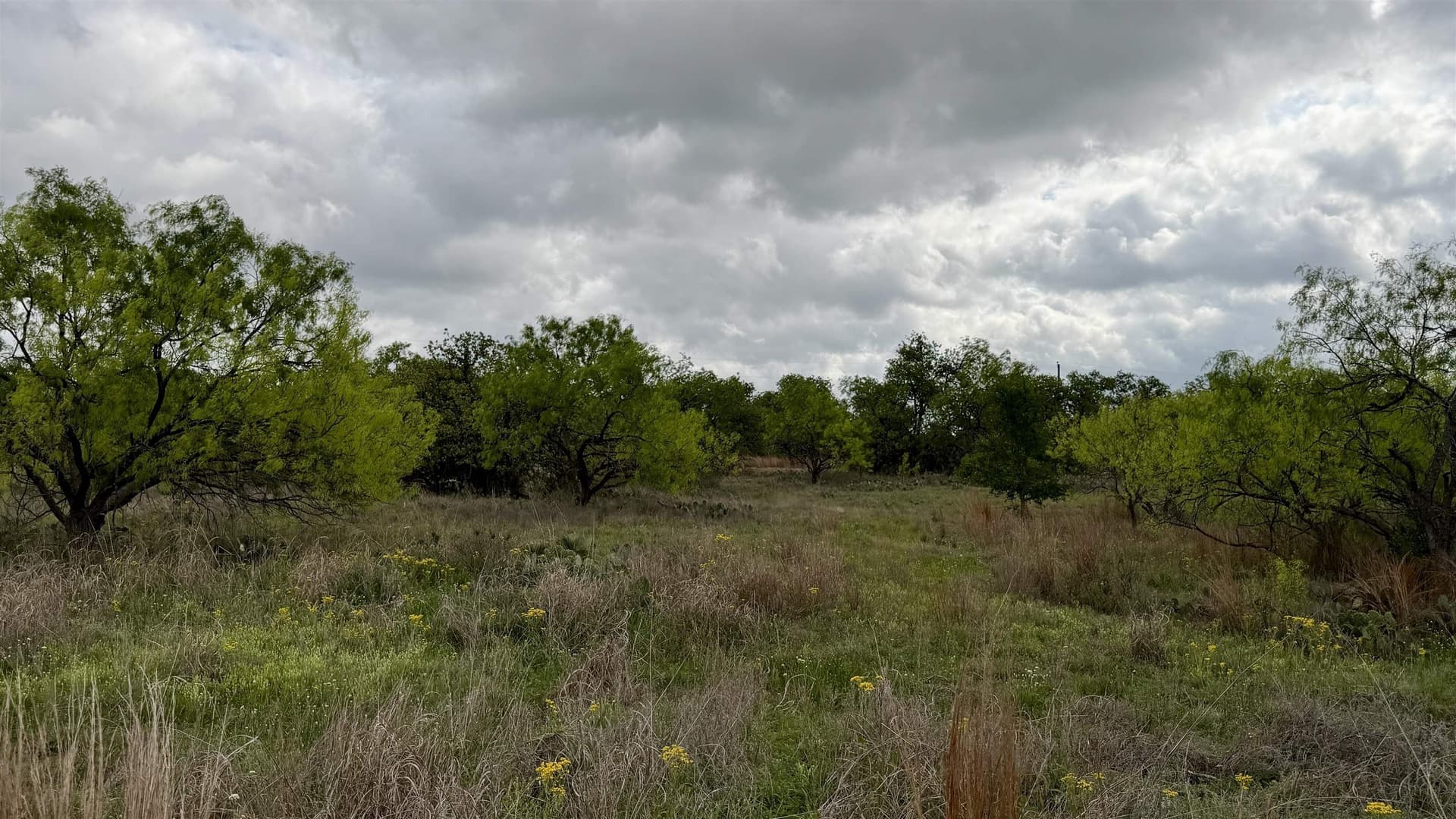 0.28 acres in Llano County - photo 6