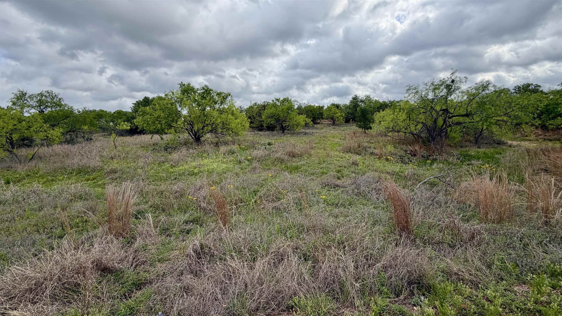 0.28 acres in Llano County gallery image 2