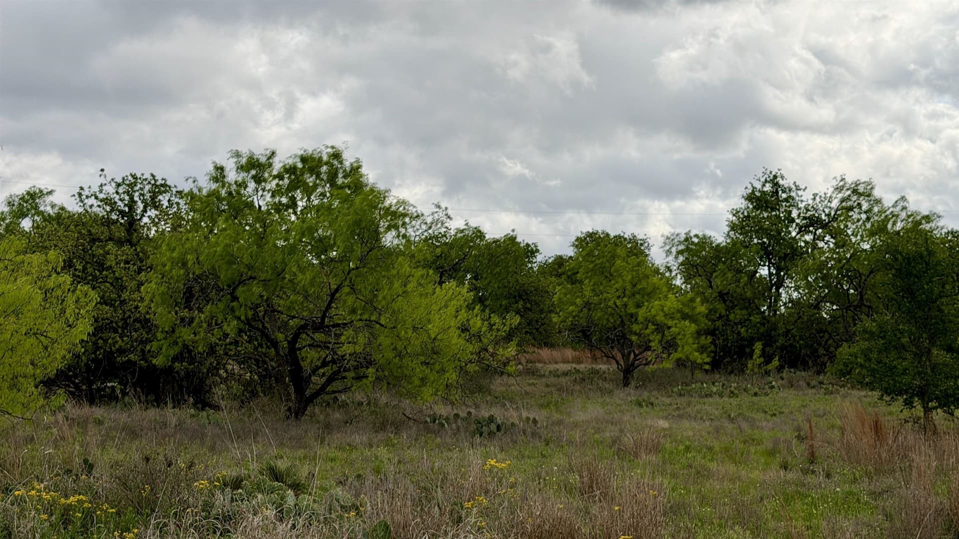 0.28 acres in Llano County featured view