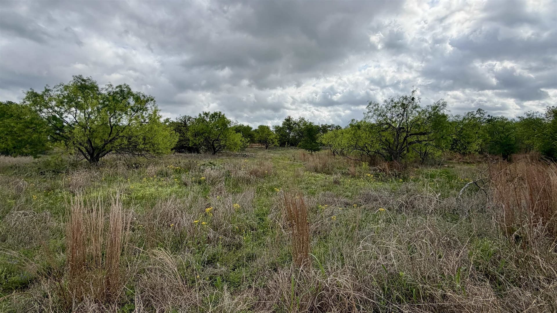 0.28 acres in Llano County - photo 7
