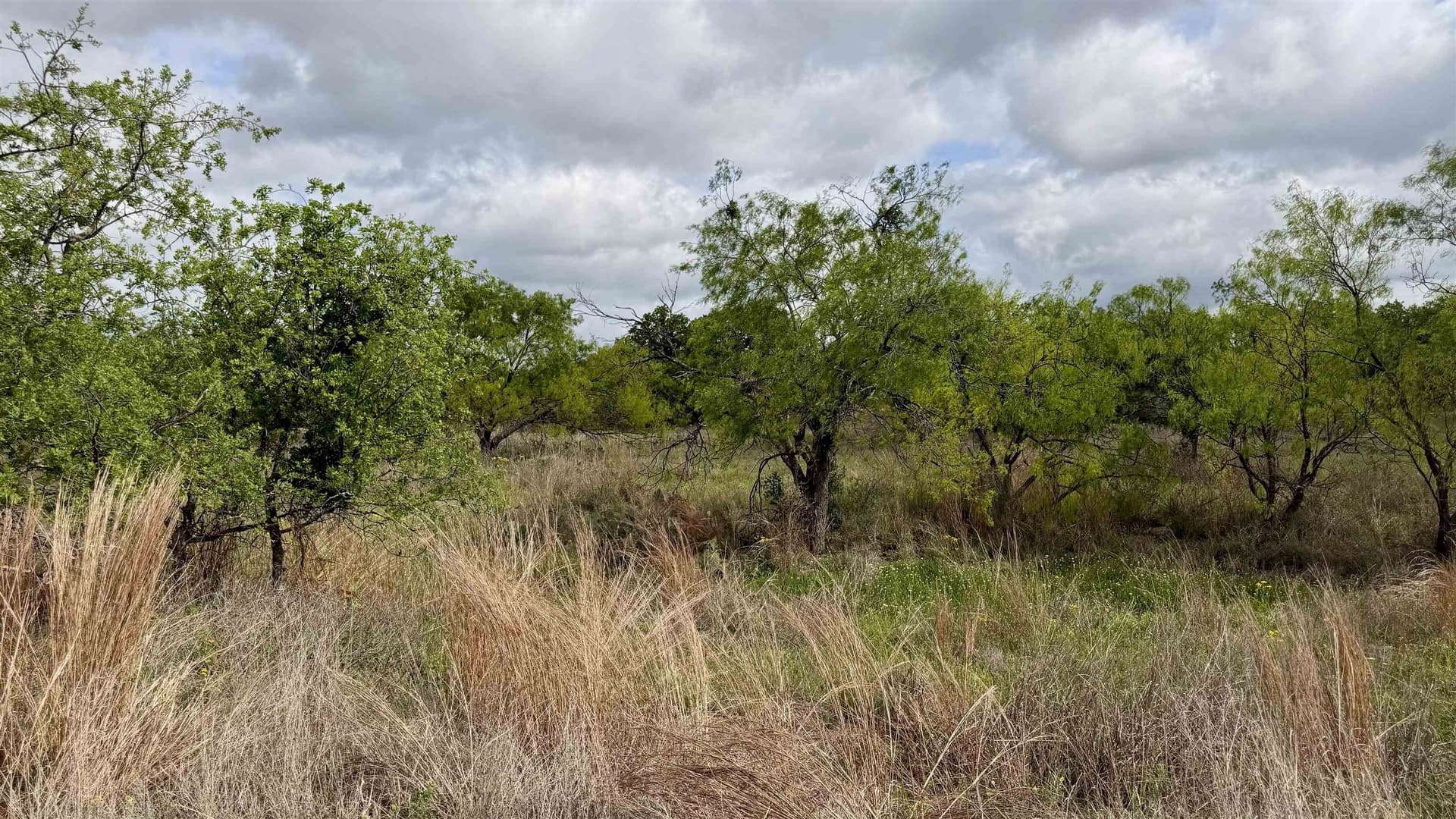 0.28 acres in Llano County - photo 9