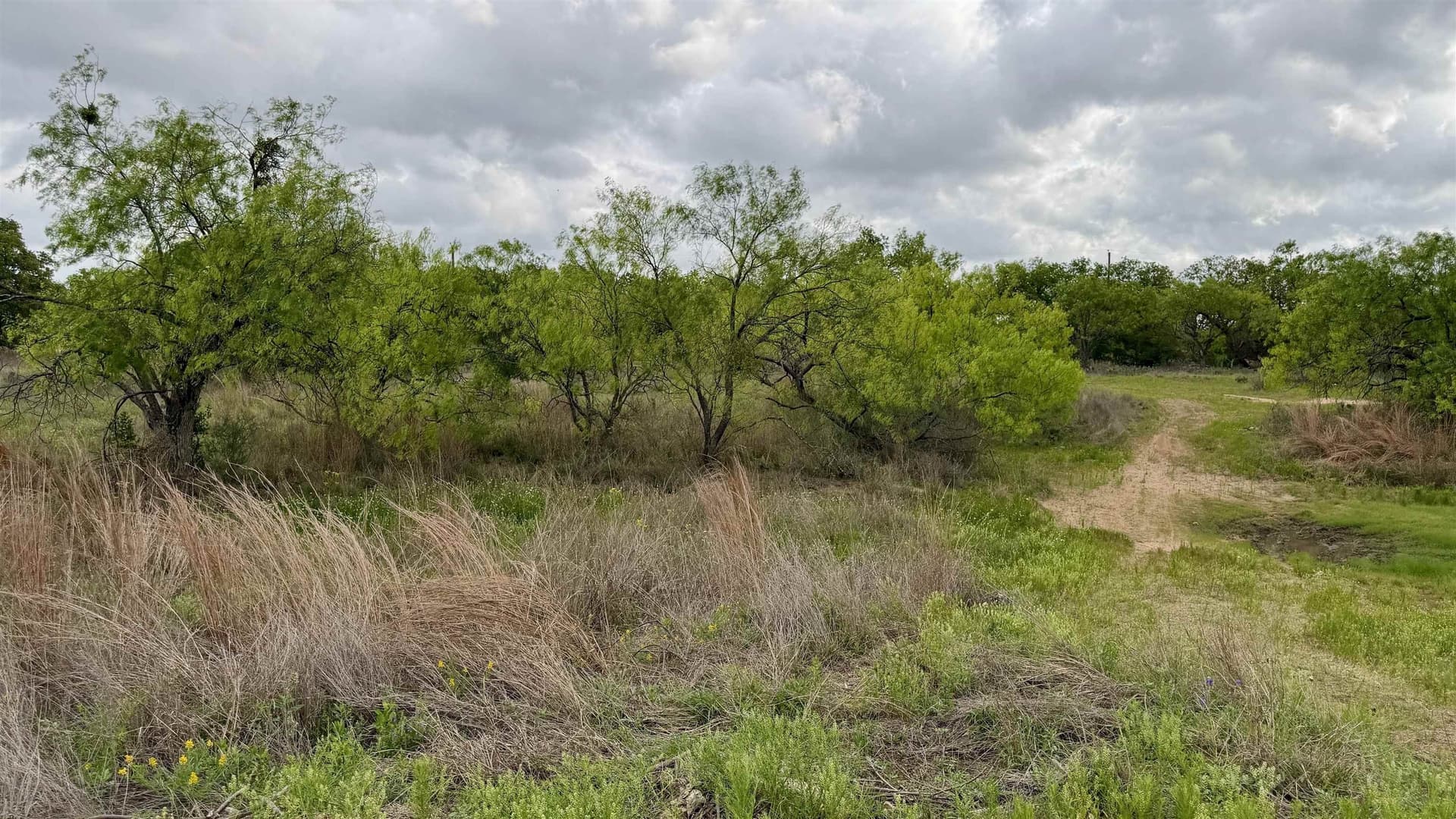 0.28 acres in Llano County gallery image 4