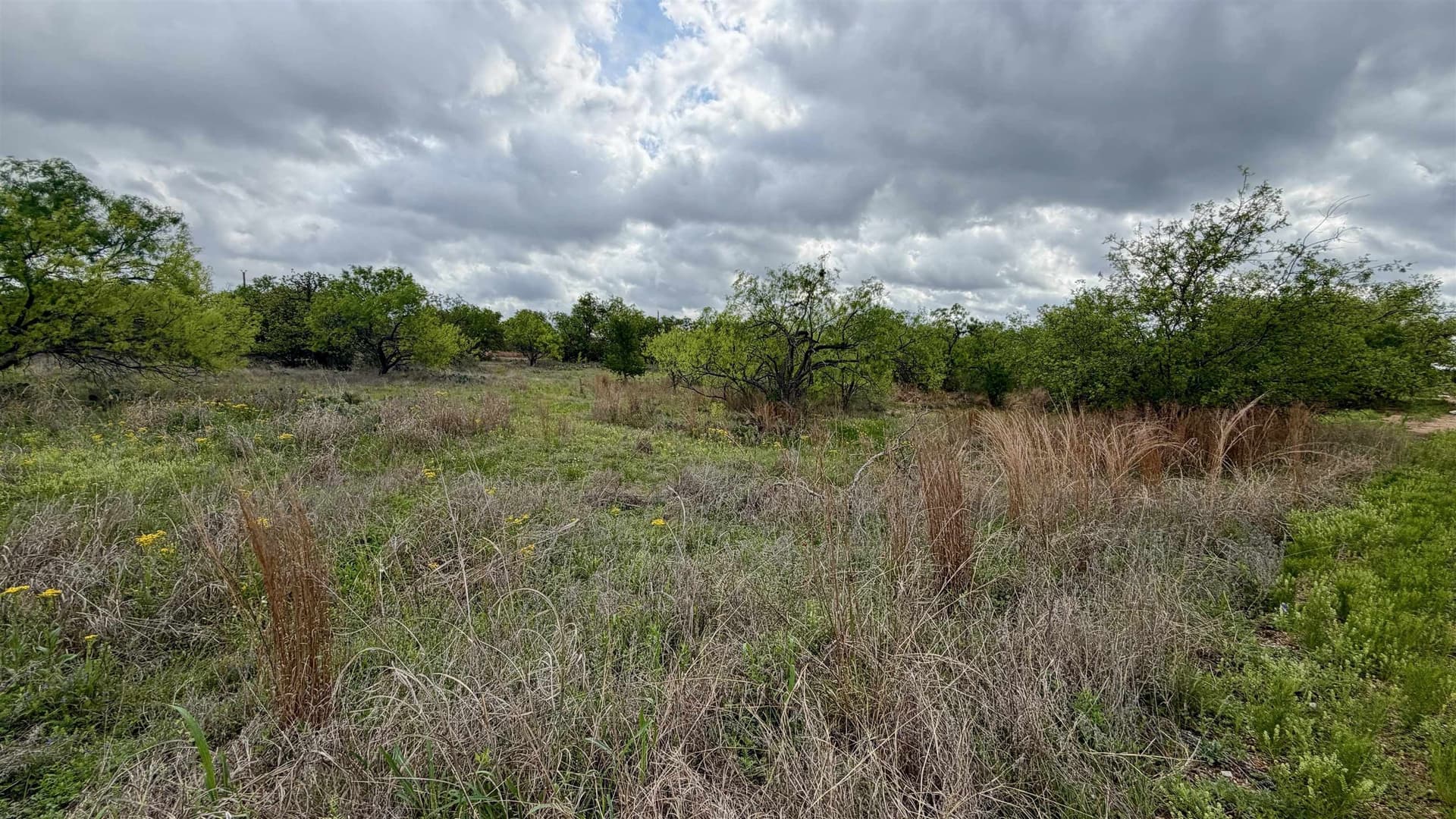 0.28 acres in Llano County gallery image 3