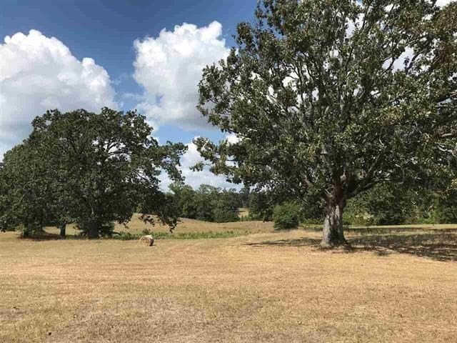 2.71 acres in Upshur County gallery image 4