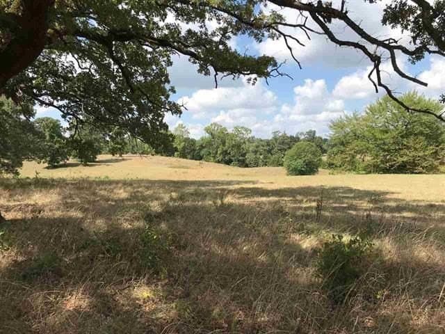 2.71 acres in Upshur County - photo 13