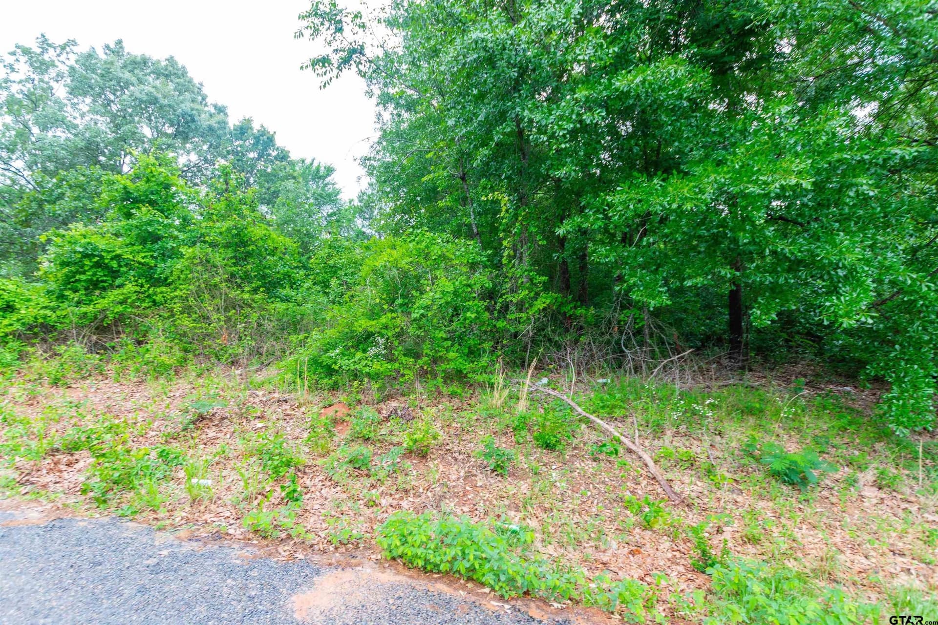 0.28 acres in Smith County gallery image 2